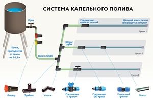 Купить набор капельного полива для теплиц до 8м (ø20, капельная лента 40м, 4 старт-коннект) в Благовещенске с доставкой